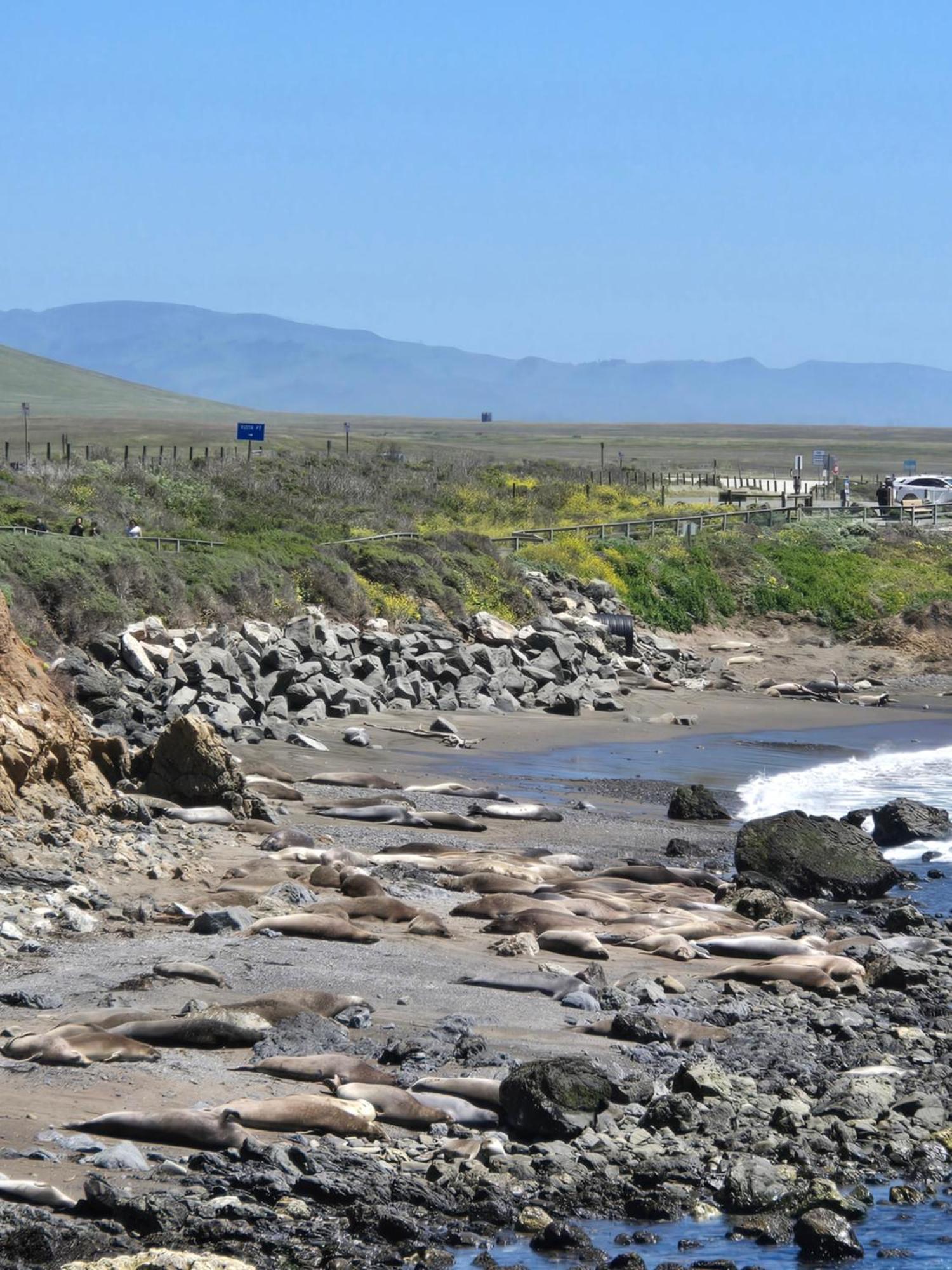 Coast Riders Inn San Simeon Kültér fotó