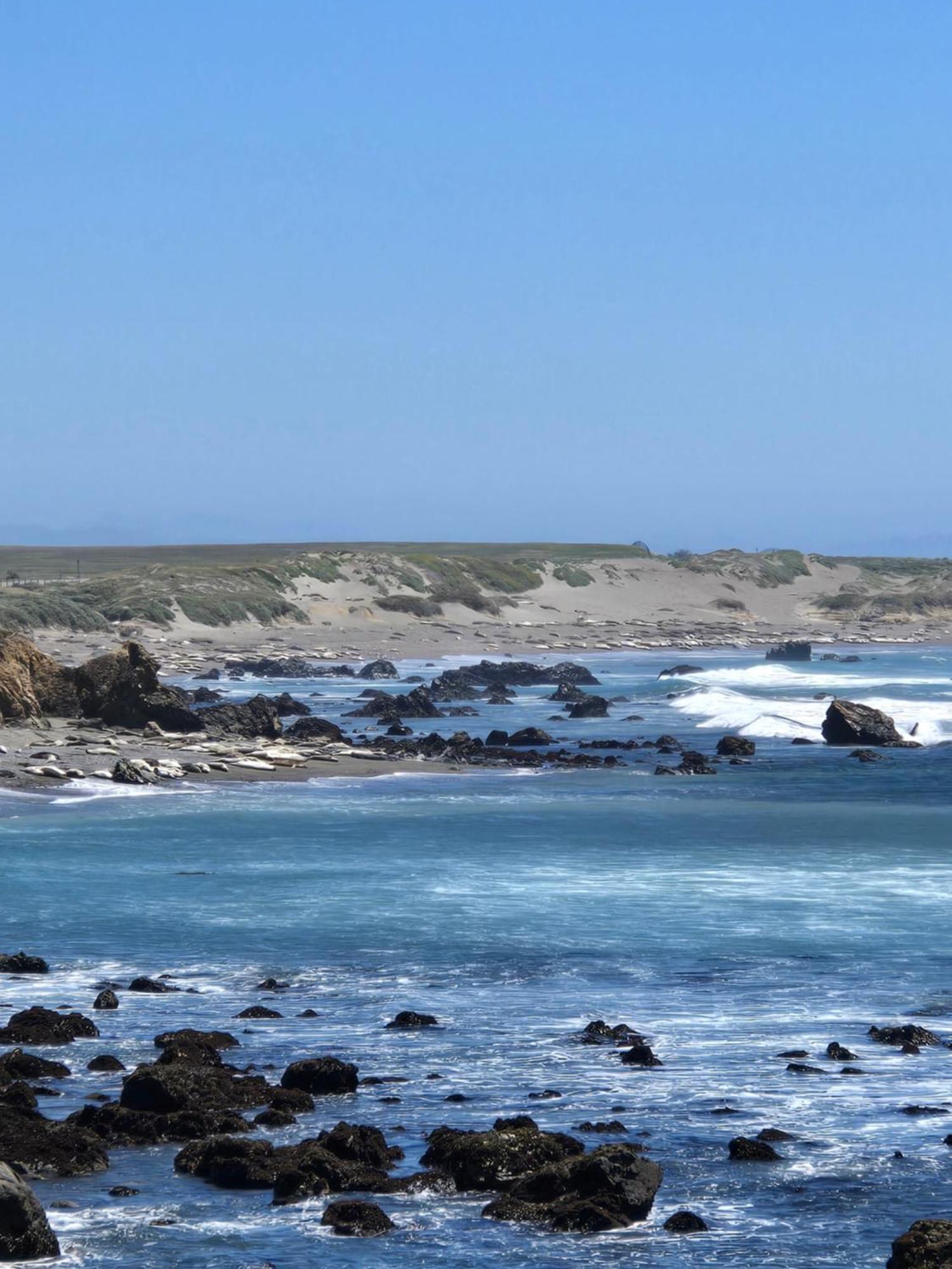Coast Riders Inn San Simeon Kültér fotó